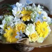 Yellow(プロフ必読)の画像