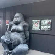 Rの画像
