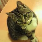 take4の画像