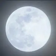 櫻
