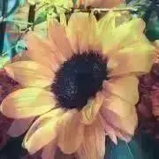 なつ☆おまとめ大歓迎の画像