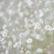 こもれびの画像