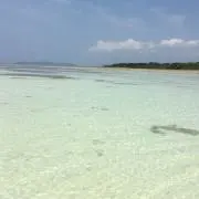 はっぴーまんの画像