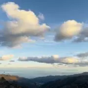 Idackの画像