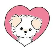 たお☺︎の画像