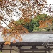 いけの画像