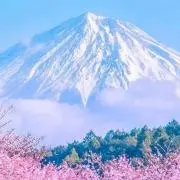 Teraちゃん