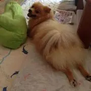 olhの画像