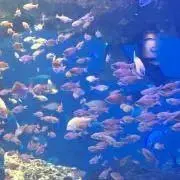 アヤヤ☆プロフ必読