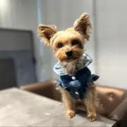 さちこの画像
