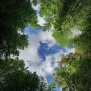 Kaoの画像