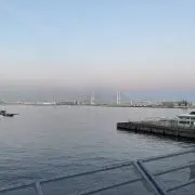 あおの画像
