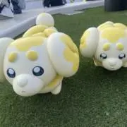 かるのの画像