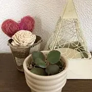 あずさむの画像