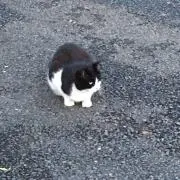 まーくん