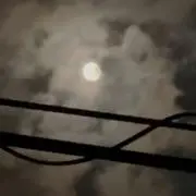 ずの画像