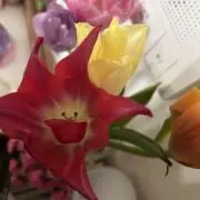 しろねこのノンタンの画像