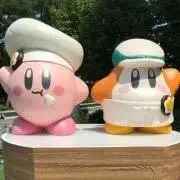 プーヤンの画像