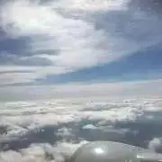 ★靴探検家★の画像