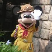 たまの画像