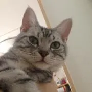 YUMI