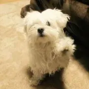 Nの画像