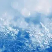 snowの画像