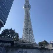 よしまな