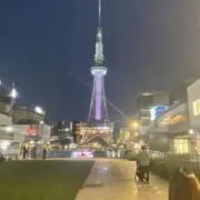 はたはの画像