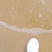 フッチの画像