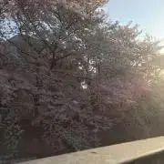 ちょこれーと0427♪プロフ必読