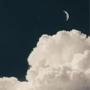 あの画像