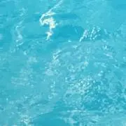 Laratの画像