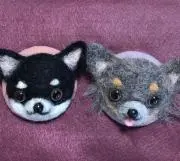 tomo