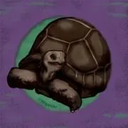 TORTOISE DRAGON