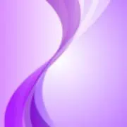 ミニ