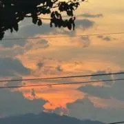 みゆの画像