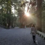 arrの画像