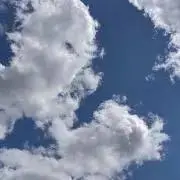 みるの画像