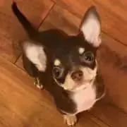 ミナマロ