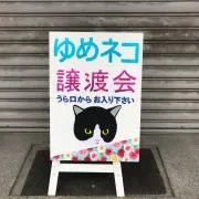 ゆめネコ
