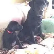 さつきママ
