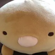 tongari