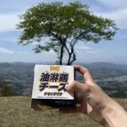 油淋鶏チーズの画像