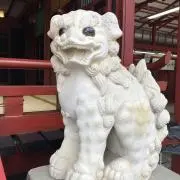 kepo1010の画像