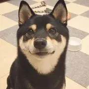まるの画像