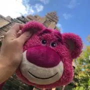 りっちゃんの画像