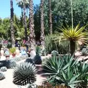 ⭐︎ニコン⭐︎の画像
