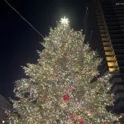 まりーの画像