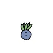 ずまの画像